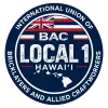 Hawai'i Logo